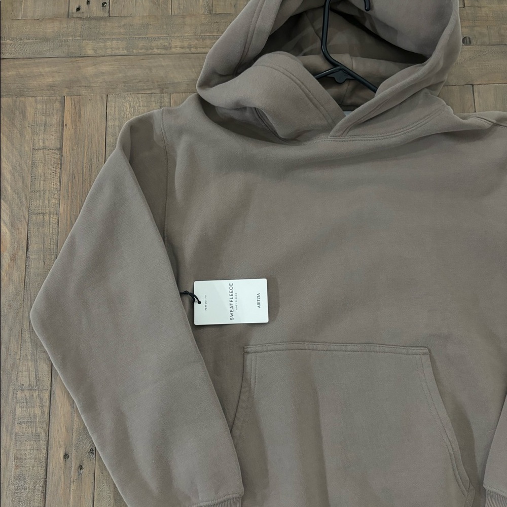 Aritzia hoodie